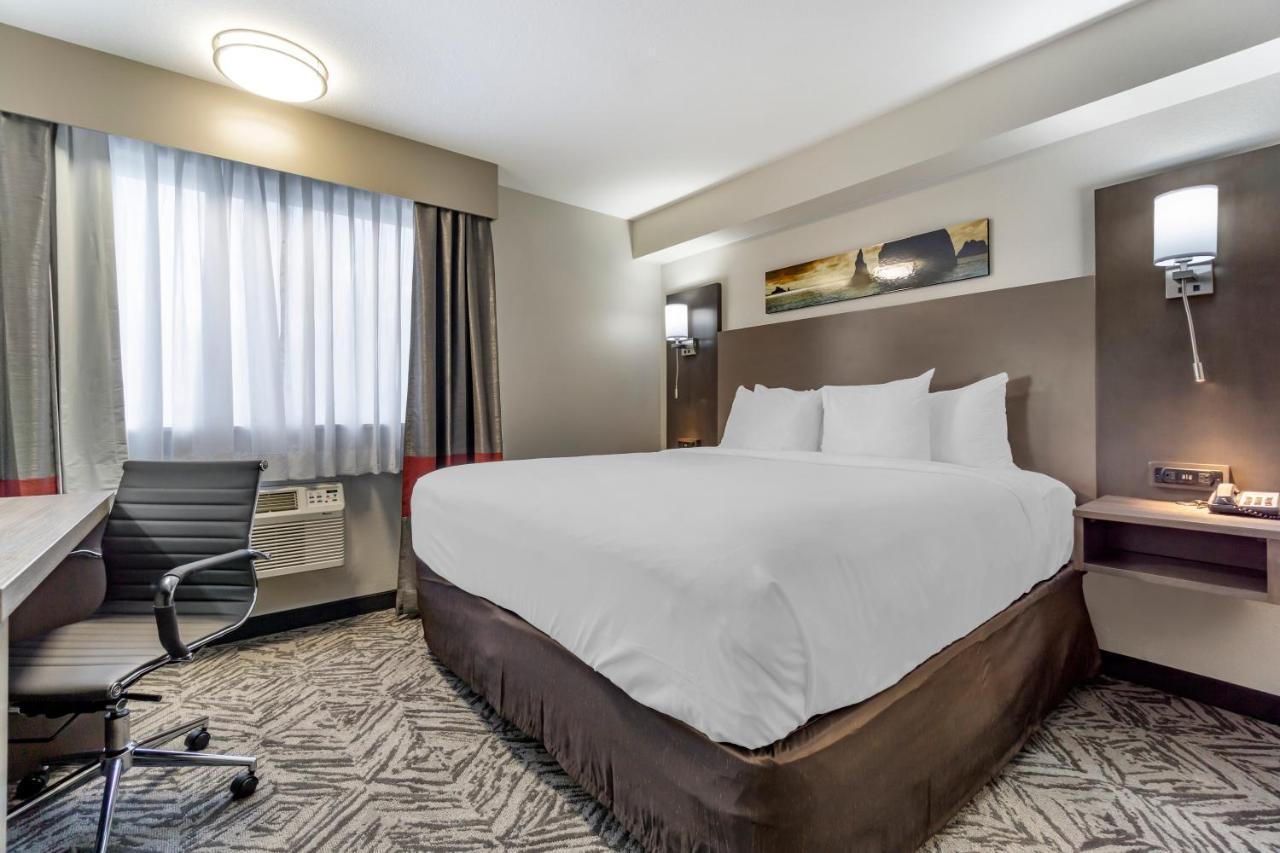Comfort Inn & Suites Pacific - Auburn Екстериор снимка